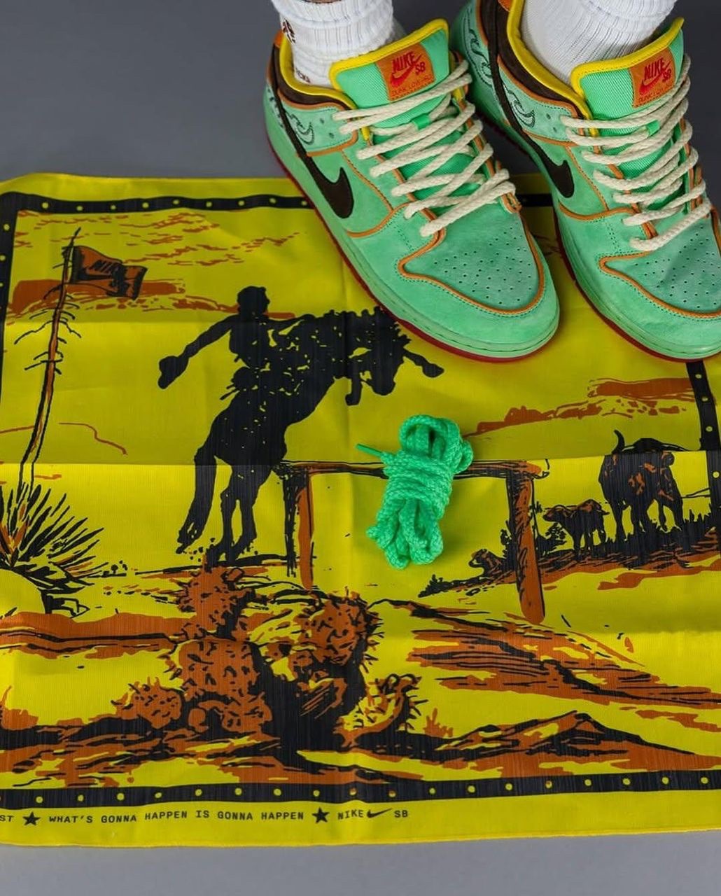 NIKE SB DUNK LOW BLACK HISTORY MONTH ‘TOURNALINE’ - Image 2